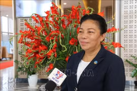 Laos-Vietnam: des relations d’amitié et de solidarité spéciales