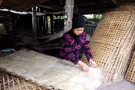 Bac Kan : L’effervescence du village de vermicelles à l’approche du Têt