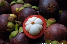 Exportations de fruits et légumes en hausse de 0,13% en sept mois 