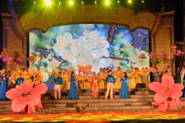 Le ‘’Festival de la culture japonaise’’ dans la ville de Da Nang