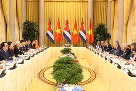 Vietnam-Cuba : entretien entre Nguyên Phu Trong et Miguel Mario Diaz Canel Bermudez
