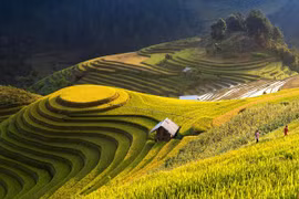 Mu Cang Chai parmi les destinations les plus colorées au monde
