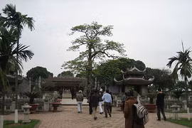 Hai Duong: destinations historiques officiellement nommées sites de reliques nationales