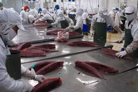 Le Canada, marché cible pour la filière thon du Vietnam