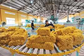 Deux tiers du volume de caoutchouc du Vietnam exportés en Chine