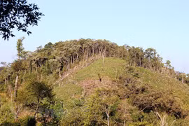 100.000 ha de forêt à gérer de manière durable chaque année