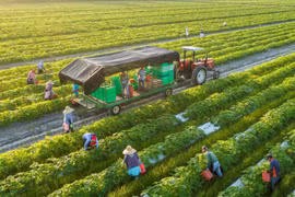 La production verte et circulaire contribue à promouvoir les produits agricoles vietnamiens