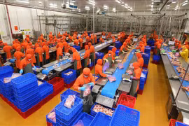 Le Vietnam accueille plus de 22 milliards de dollars d’IDE en 10 mois