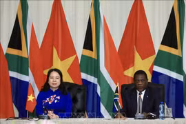 Activités de la vice-présidente vietnamienne Vo Thi Anh Xuan en Afrique du Sud