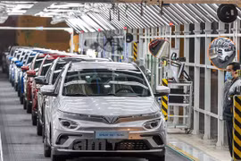 VinFast remet de première voitures électriques VF e34 à des clients
