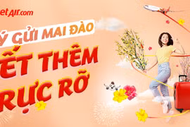 Vietjet transporte des fleurs d'abricots et de pêchers à l'occasion du Nouvel An lunaire 2024