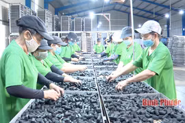 Croissance économique: Binh Phuoc au premier rang de la région du Sud-Est