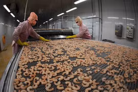 La transformation en profondeur augmente la compétitivité des crevettes vietnamiennes