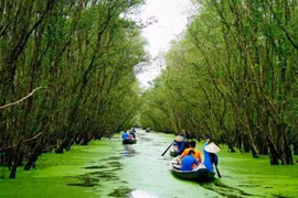La forêt de Tra Su, « poumon vert » du Sud-Ouest