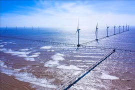 Promouvoir la transition énergétique pour la croissance verte