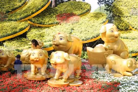 Ouverture d’une fête des fleurs à Ho Chi Minh-Ville