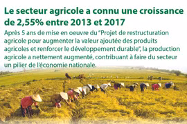 Le secteur agricole a connu une croissance de 2,55% entre 2013 et 2017