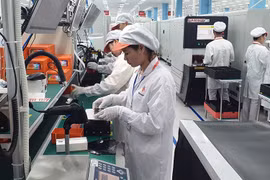 Stratégie de développement des sciences, des technologies, de l’innovation et de la créativité
