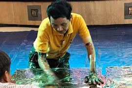Un peintre vietnamien établit un record mondial