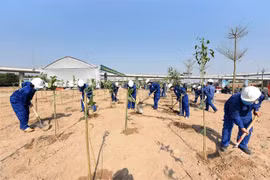Edification d’une base de données sur les arbres à l'échelle nationale