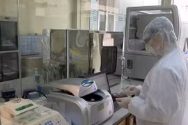 COVID-19 : le décès du 251e patient n’est pas dû au coronavirus