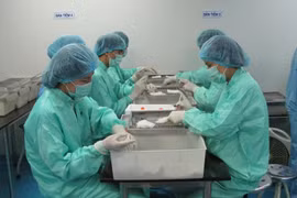 VABIOTECH teste un vaccin contre le COVID-19 sur des singes