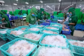 Le Vietnam affiche un excédent commercial sur sept mois