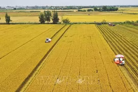 Accélérer la transformation numérique dans l’agriculture 