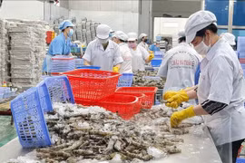 Les exportations de produits aquatiques devraient atteindre 11 milliards de dollars cette année