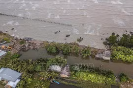 Recherche de solutions pour l'adaptation au changement climatique