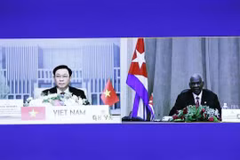 Renforcement des relations Vietnam-Cuba