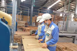 Les exportations d’ameublement en forte croissance en 11 mois