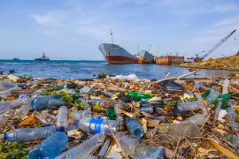 Journée mondiale de la Terre célébrée à Hanoi