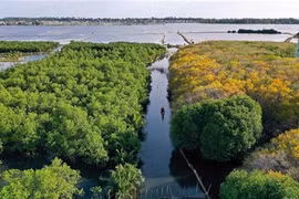 Vietnam, un des pays les plus riches en biodiversité