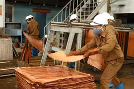BAD: La croissance économique du Vietnam prévue à 4,8% en 2020