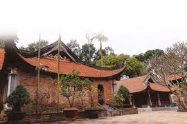 Pour une meilleure valorisation des tablettes de bois de la pagode Vinh Nghiêm