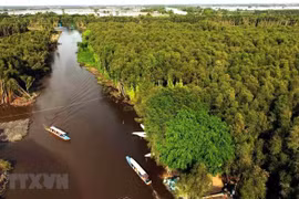 Changement climatique: Solutions pour réduire l'affaissement des terres dans le delta du Mékong