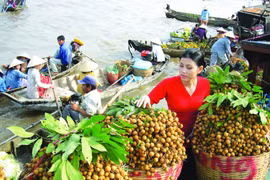 Exportations vietnamiennes de fruits et légumes en 9 mois
