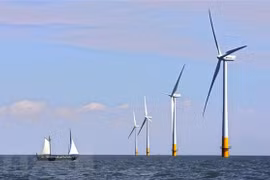 Le Vietnam devient le marché solaire le plus en vogue en Asie du Sud-Est