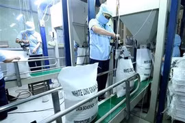 Perspectives pour le riz vietnamien en Chine