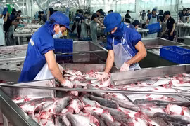 Le poisson tra vietnamien bien accueilli aux Etats-Unis