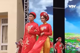 Vietnam-Japon: renforcer la connexion entre les deux pays et les deux cultures