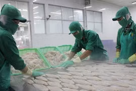 Les exportations de pangasius vers le Royaume-Uni augmentent de 70%