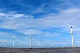 Un projet de 12 milliards de dollars pour l’éolien offshore à Bình Thuân