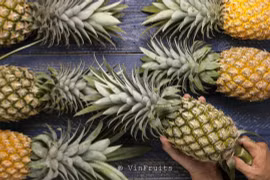 Les dirigeants singapouriens intéressés par l'importation de fruits et légumes du Vietnam