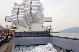 80.000 tonnes de riz vietnamien seront annuellement exportées dans l'UE