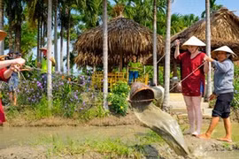  Tendances touristiques en 2020