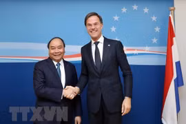 Le Vietnam et les Pays-Bas devraient mettre en place un partenariat intégral