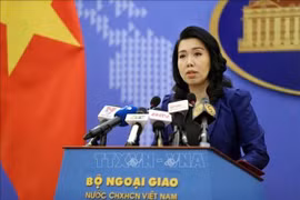 Une délégation de la CE va inspecter la lutte contre la pêche INN du Vietnam le mois prochain