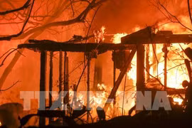 Il n'y a aucune information sur les victimes vietnamiennes de l’incendie de forêt en Californie